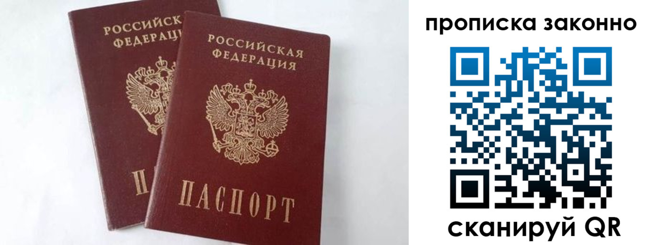 прописка в Димитровграде